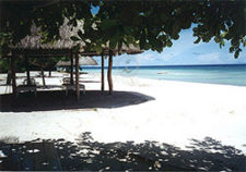 View of For Bohol Beach Club