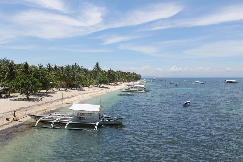 Image:Malapascua Main Beach.jpg