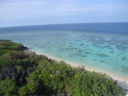 View from Apo Reef Light House