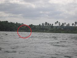Mouth of Pansipit River